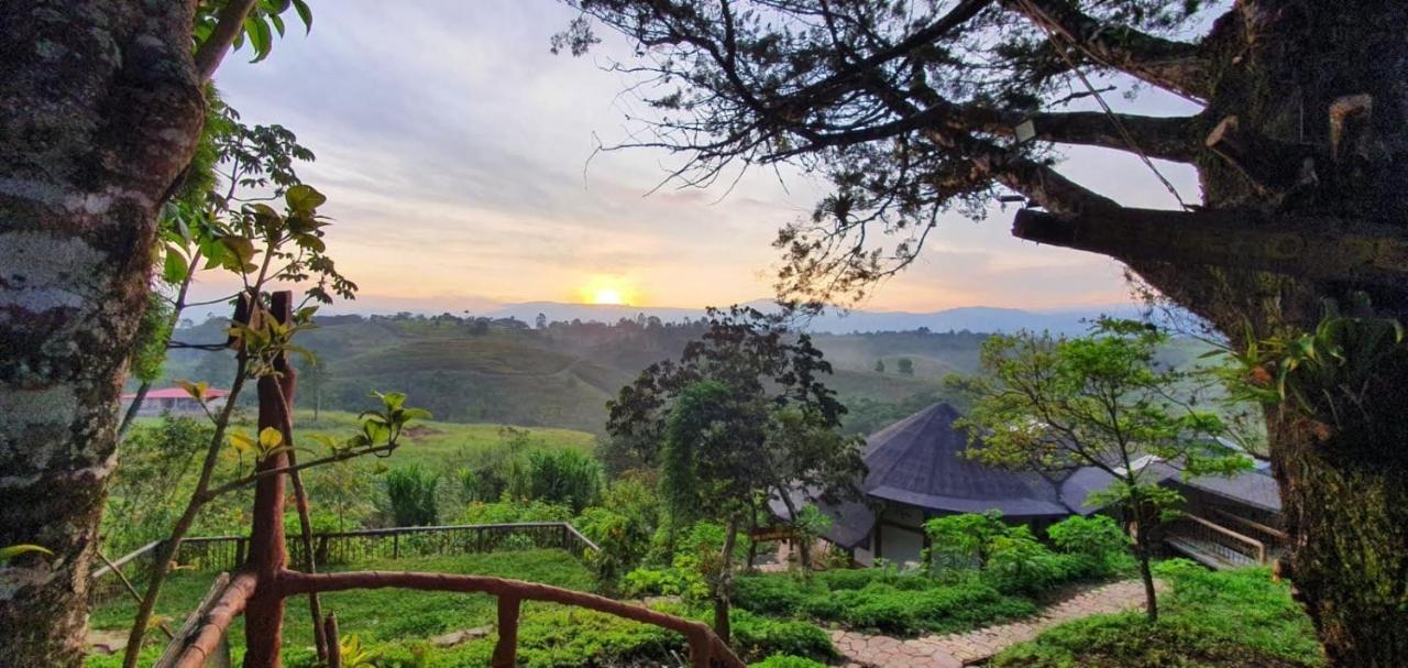 Hostal Sueno Paraiso- Observatorio Astronomico Popayan Eksteriør bilde